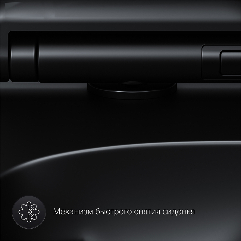 Унитаз AM.PM X-Joy S FlashClean CK85H0803B подвесной с гигиеническим душем, черный и ершиком с сиденьем микролифт