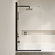 Шторка на ванну RGW SC-109B 411110908-14, 80x150, черный, прозрачное стекло